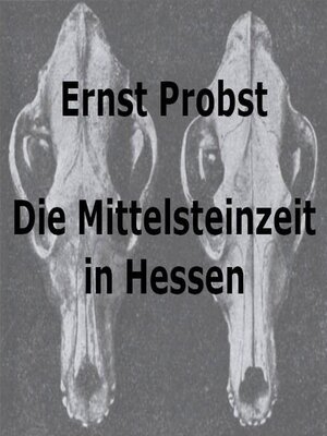 cover image of Die Mittelsteinzeit in Hessen